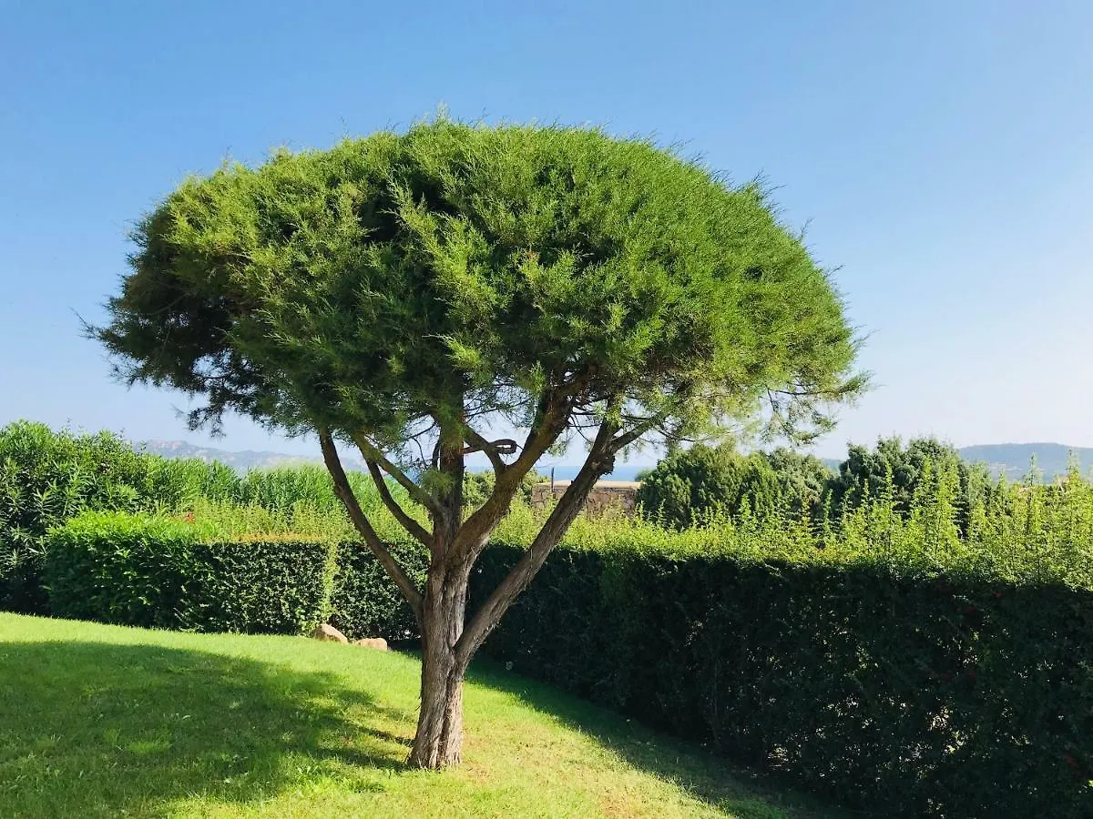 Villa Vista Mare Con Piscina San Teodoro
