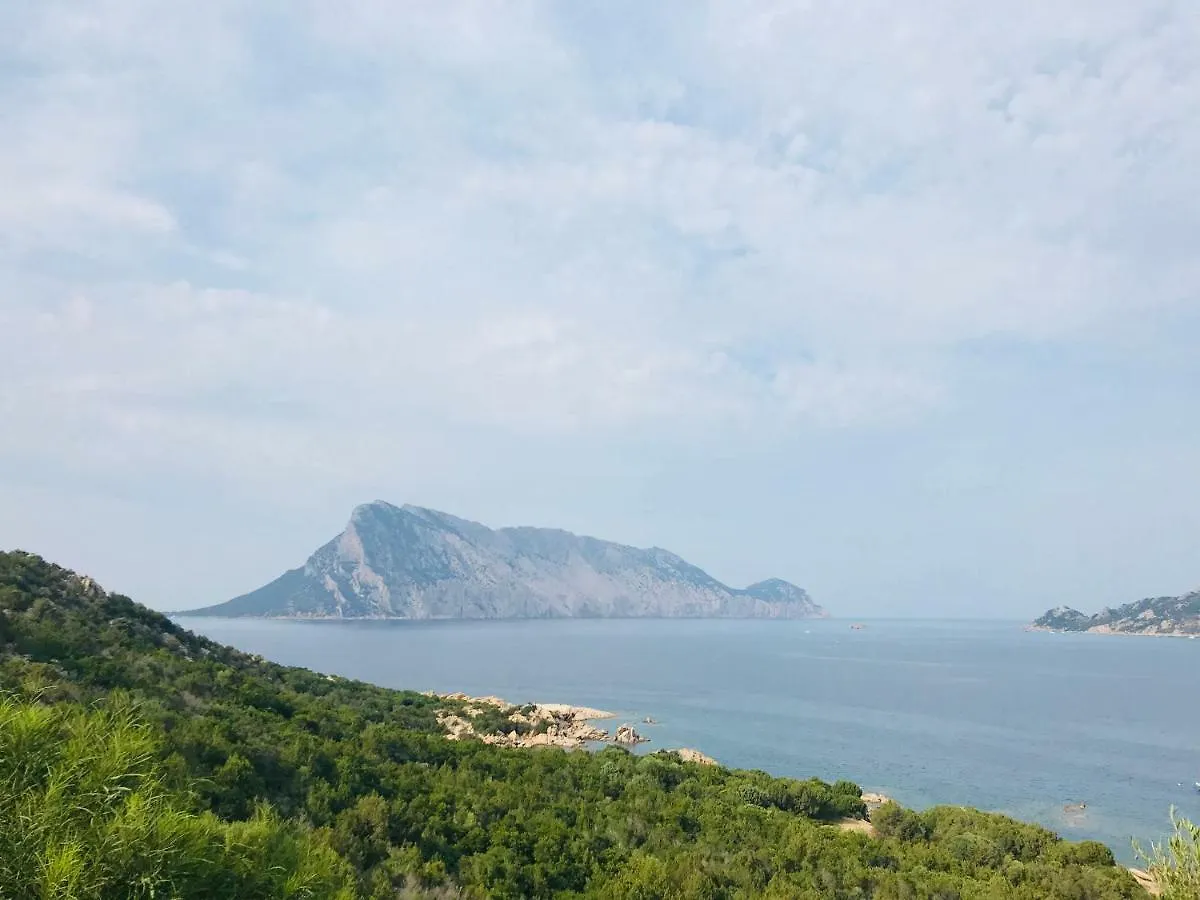 Villa Vista Mare Con Piscina San Teodoro   San Teodoro (Sardinia)